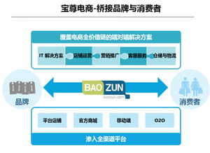 寶尊攜手希杰重構電商版圖 安全咨詢撬動萬億市場新機遇
