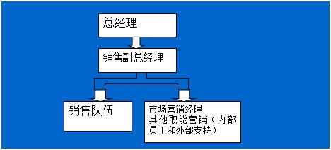 王義聊營銷第48講 營銷組織的設計與管理在安全咨詢服務領域的應用